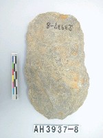 藏品(中型舌刃打製石斧)的圖片